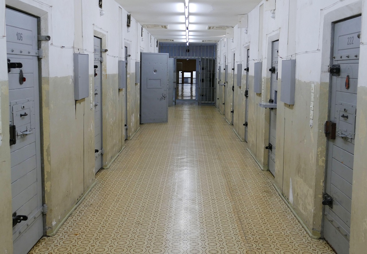 Tymczasowy areszt wykonywany w zakładzie psychiatrycznym dla sprawcy brutalnego zabójstwa na terenie kampusu Uniwersytetu Warszawskiego.